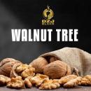 WALNUT TREE(ウォルナットツリー)