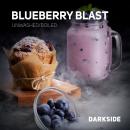 BLUEBERRY BLAST(ブルーベリーブラスト)