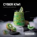 CYBER KIWI(サイバーキウイ)