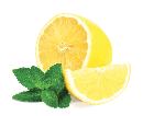 Lemon Mint(レモンミント)