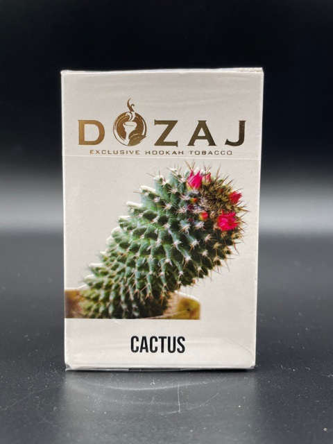 Cactus(カクタス)