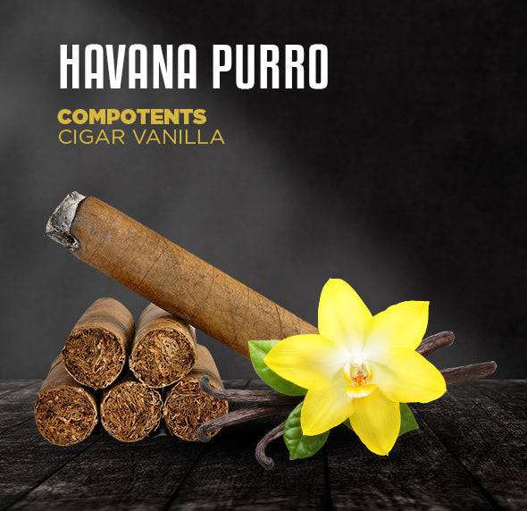 HAVANA PURRO(ハバナプロ)