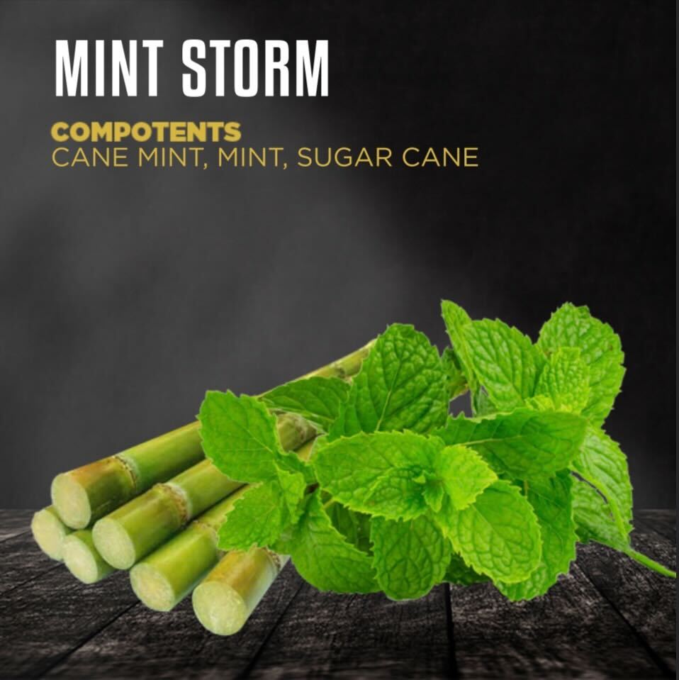 MINT STORM(ミントストーム)