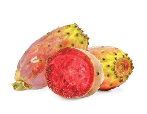 Prickly Pear(プリックリーピアー)