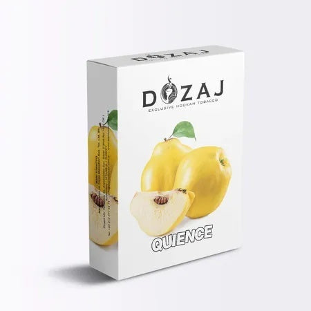 Quience(クインス)