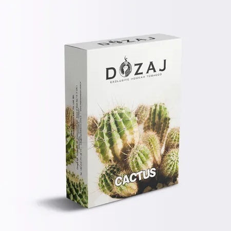 Cactus(カクタス)