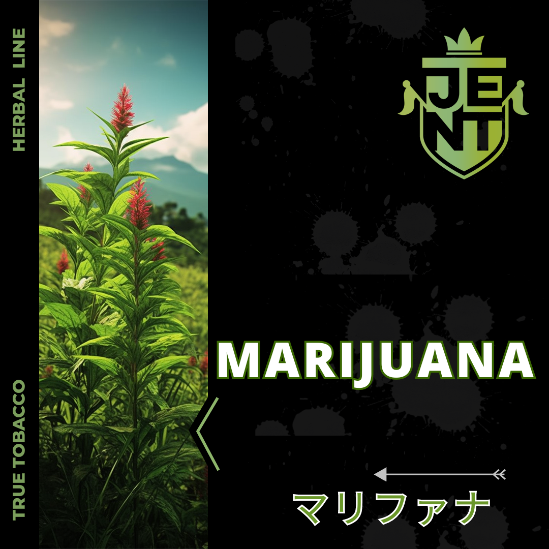 MARIJUANA