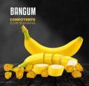 BANGUM(バンガム)