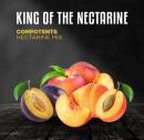 KING OF NECTARINE(キングオブネクタリン)