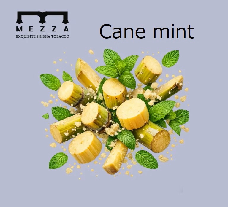 Cane mint(ケインミント)