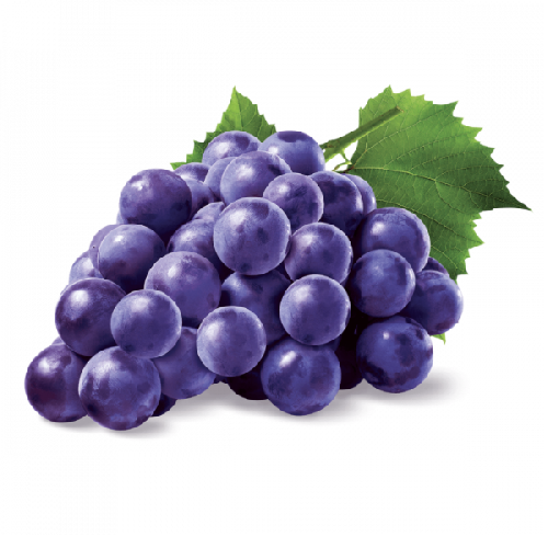 Purple Grape(パープルグレープ)