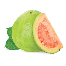 Guava(グァバ)